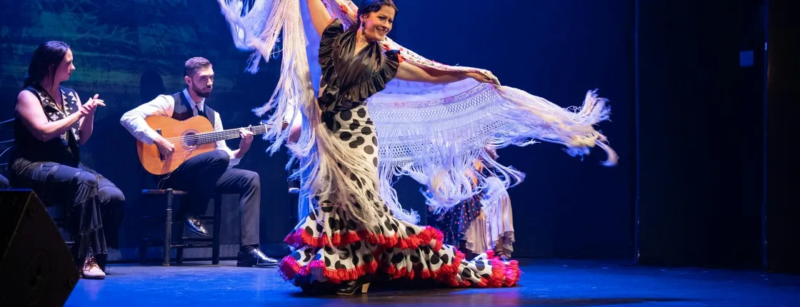Flamenco Theatre Madrid tickets