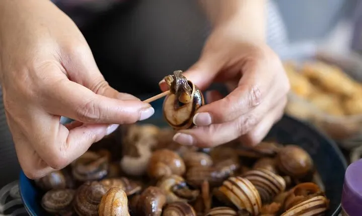 Outstanding tasting of the French Culinary Heritage