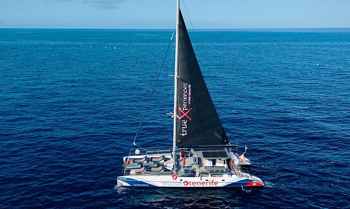 Whale Watching and Listening Eco Catamaran Tour with Food Tasting