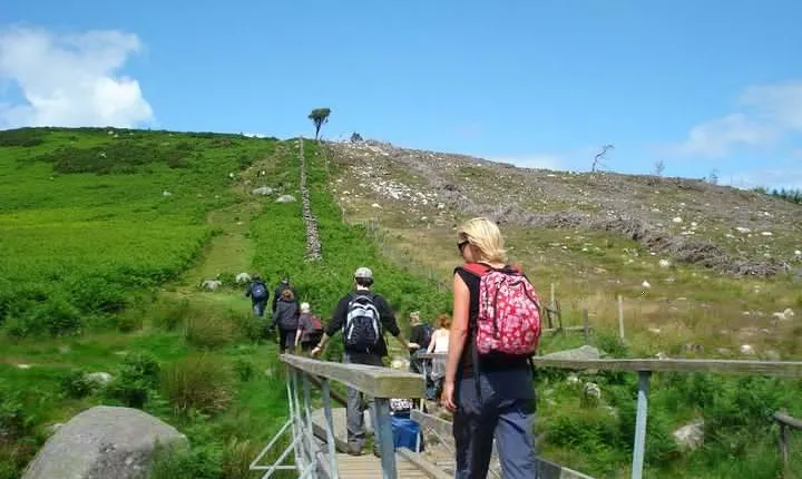 Dublin to Wicklow, Glendalough Small Group Tour with Guided Walk 