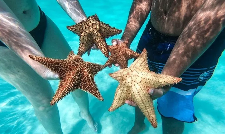 Excursion To Saona Island