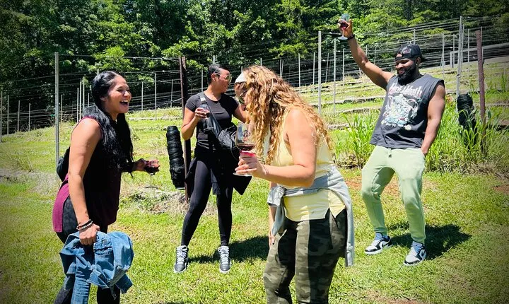Dahlonega Wine & Dine Private Tour from Atlanta