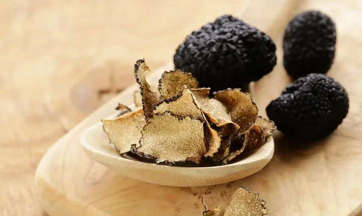 Tuscan Walk and Hunt for Truffles