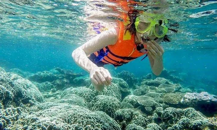 From Mui Ne To Vinh Hy Bay Snorkeling And Fishing Tour | Day Trip