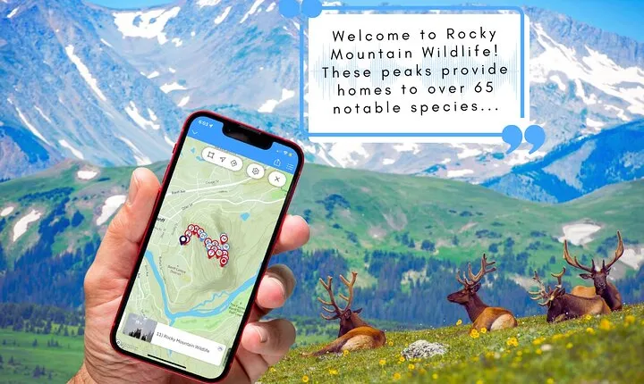 Tunnel Mountain Trail: a Smartphone Audio Nature Tour