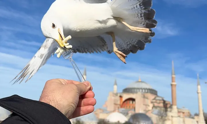 ISTANBUL BEST : Iconic Landmarks FullDay Private Guided City Tour