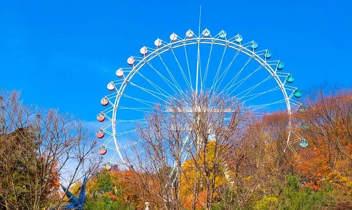 Seoul City Pass Classic Top Attractions Palaces and River Cruise