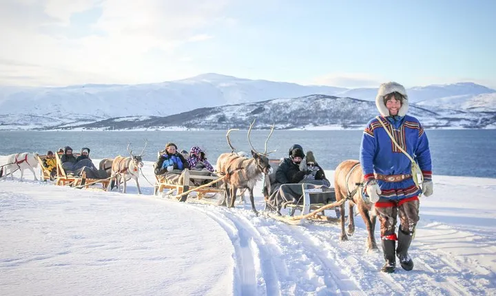 Reindeer Sledding Experience and Sami Culture Tour from Tromso