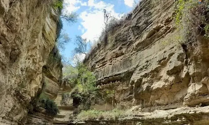 Tour to Hells Gate National park & L Naivasha boat ride 
