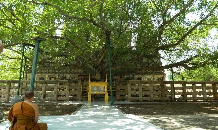 Full day Private Guided Tour of Sarnath from Varanasi