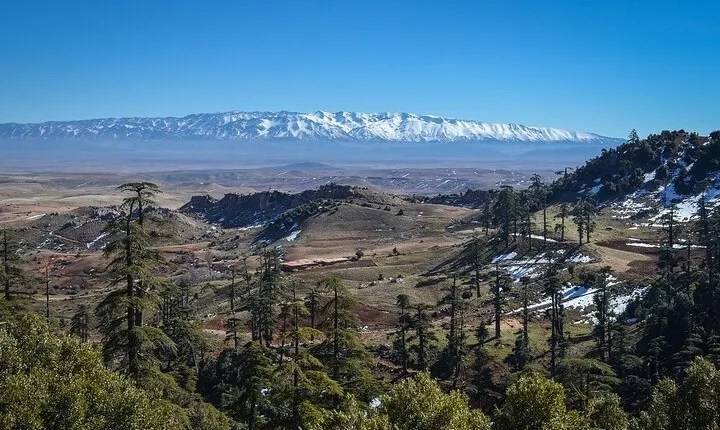 Day Tour From Fes to Middle Atlas (Imouzzer, Ifrane, and Azrou)