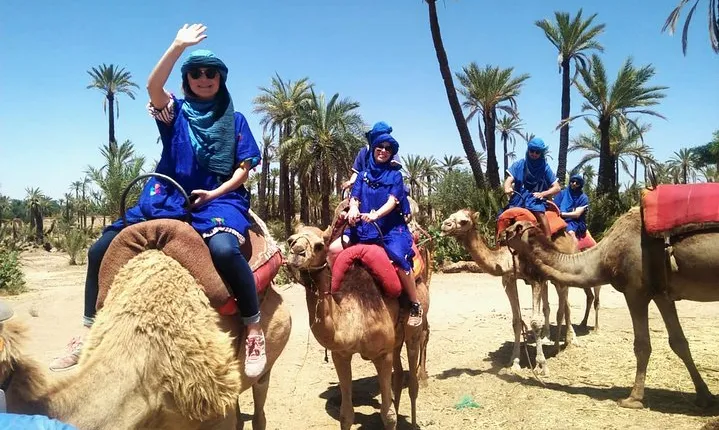 Camel Ride in Marrakech with Hotel-Pick up and Drop-off Included