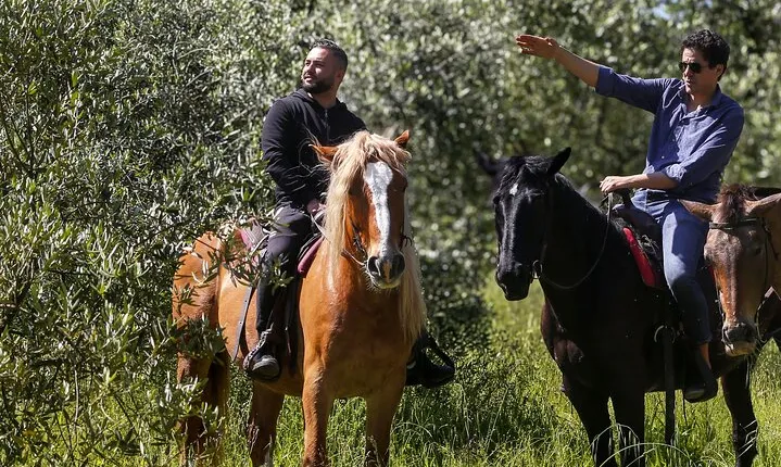 From Florence: Horseback Riding & Tuscan Meal in Chianti