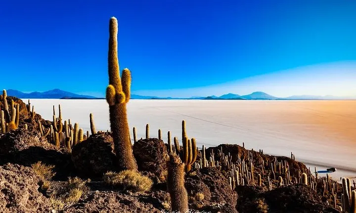 Salar De Uyuni (1Day) - Spanish Speaking Guide