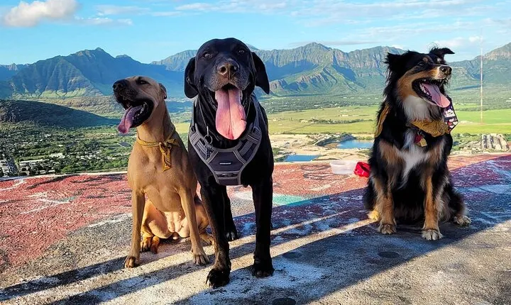 Private West Oahu Adventure Day with Pickup in Ko Olina
