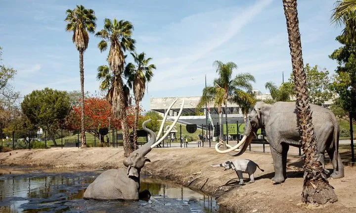 La Brea Tar Pits and Museum Admission Ticket with Excavator Tour