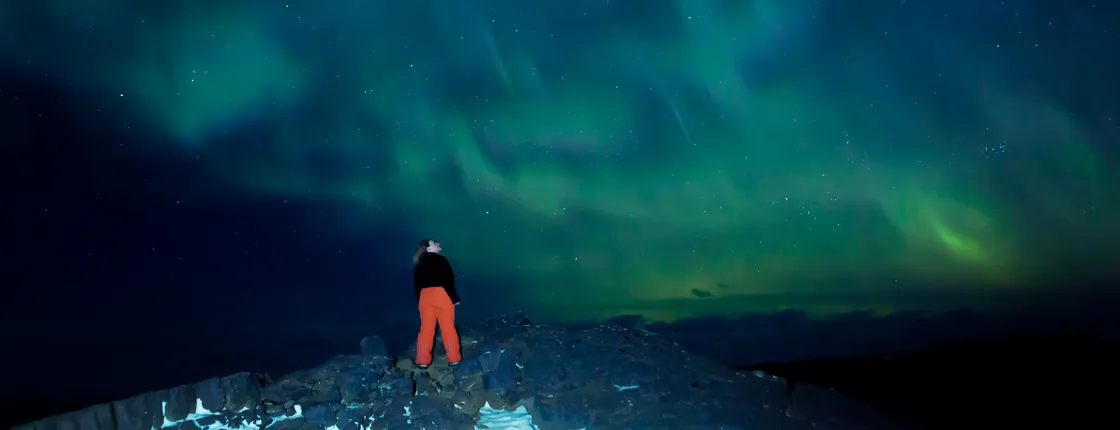 Cozy Northern Lights Tour with Icelandic Treats and Liquor