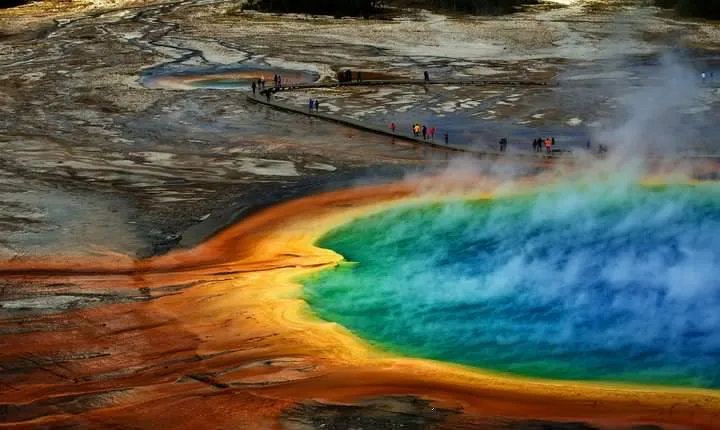 Private Upper Loop Tour of Yellowstone National Park