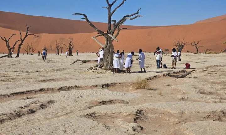 From Johannesburg: 6 Days Namibia Tour