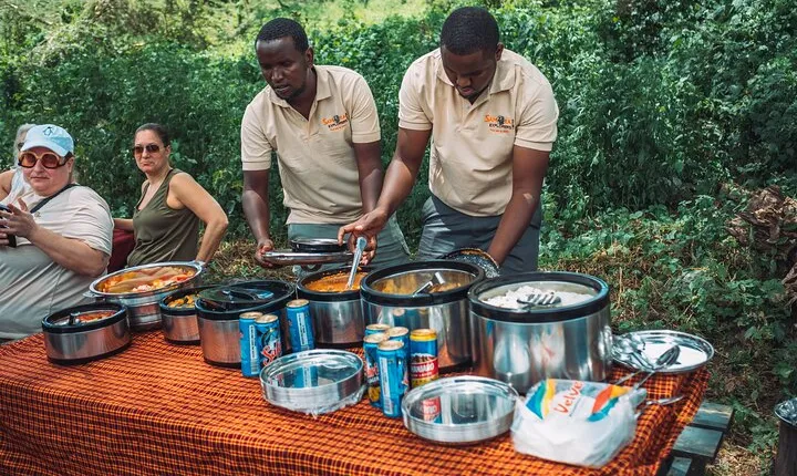 4-Day The Short of Tanzania Safari