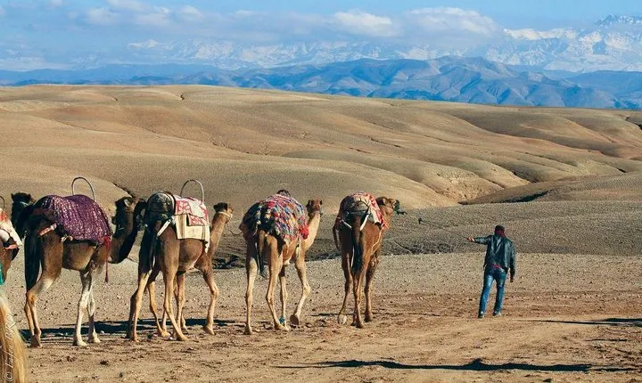 Desert Agafay & Atlas Mountains & Waterfalls, Camel ride Day Trip From Marrakech