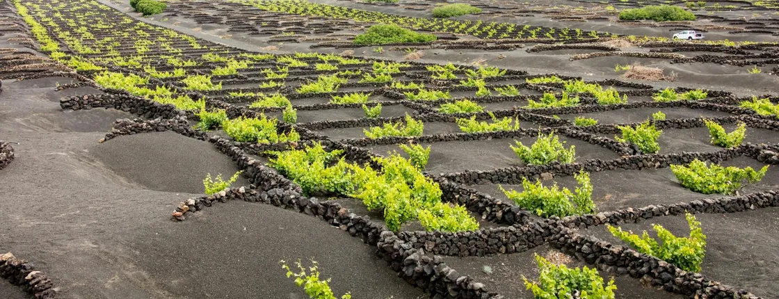 Lanzarote volcano tour