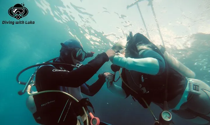 Full day diving with private guide, lunch drinks transportation