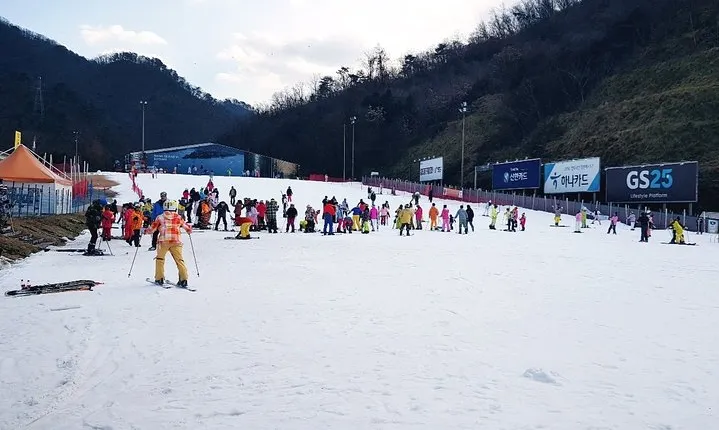 Nami Island + Ski Tour