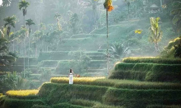 Ubud All-Inclusive Private Day Tour