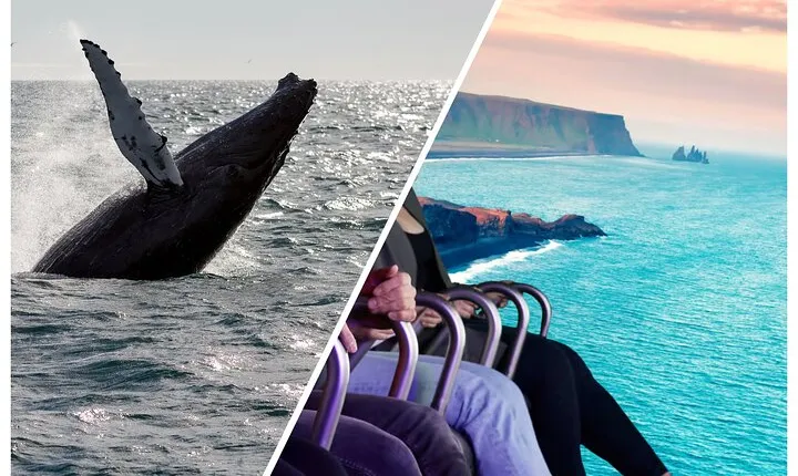 Whale Watching And Fly Over Iceland Guided Tour