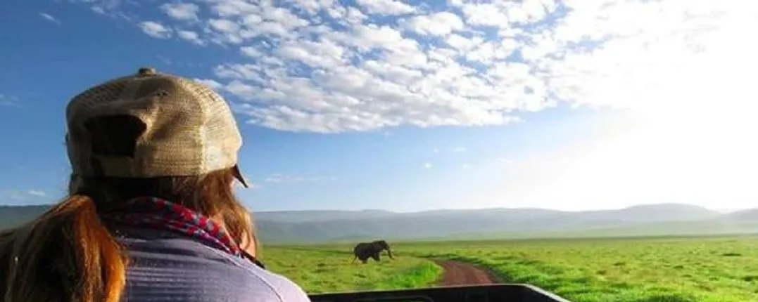 Ngorongoro Crater Day Tour