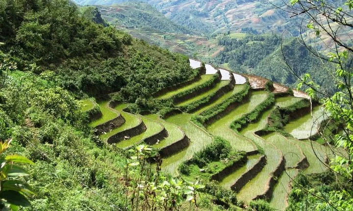 3-Night Sapa Trekking Tour from Hanoi