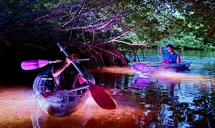 Guided Night Kayak Adventure Tour in Luminous Lagoon
