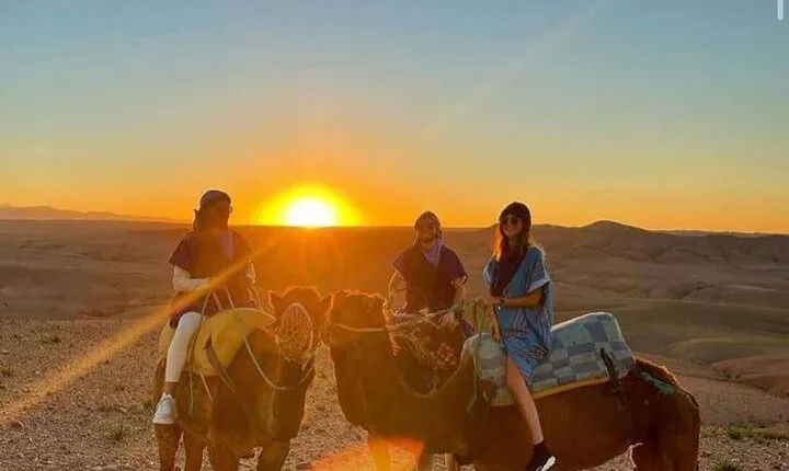 Sunset Dinner & Camel Ride in Agafay desert