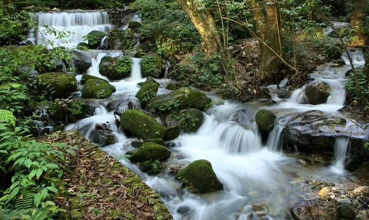 Shivapuri National Park Day Hike from Kathmandu