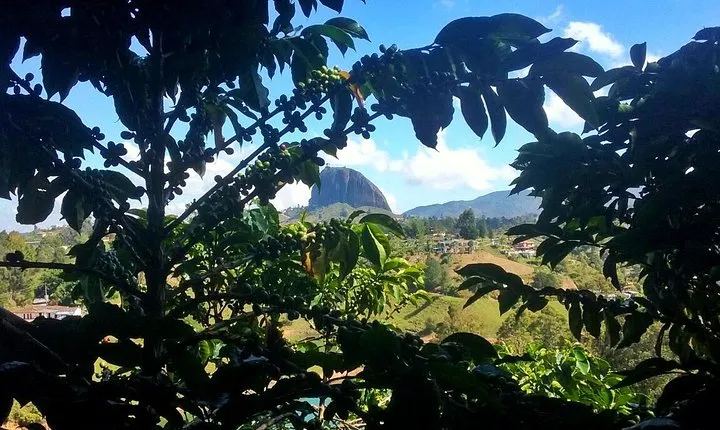 Guatape Rock & Coffee Tour & Picturesque Town: Private Tour