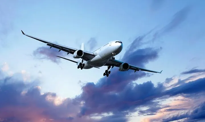 Private Departure Transfer: Hotel to Udaipur Airport