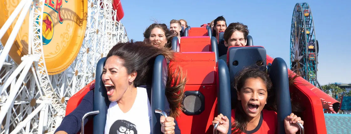 Disneyland® Resort 1 Park per day tickets