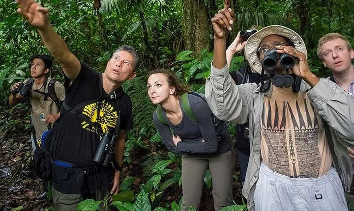 Yasuni Tours - 4 Days 3 Nights - From Puyo, Pastaza - Ecuador 