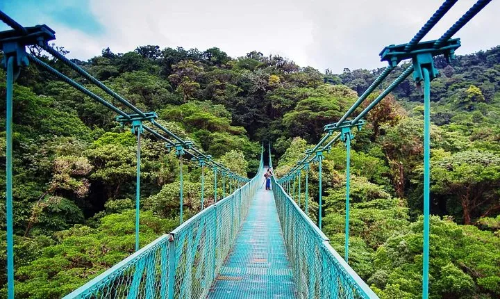 Monteverde Hanging Bridges Day Trip from San Jose
