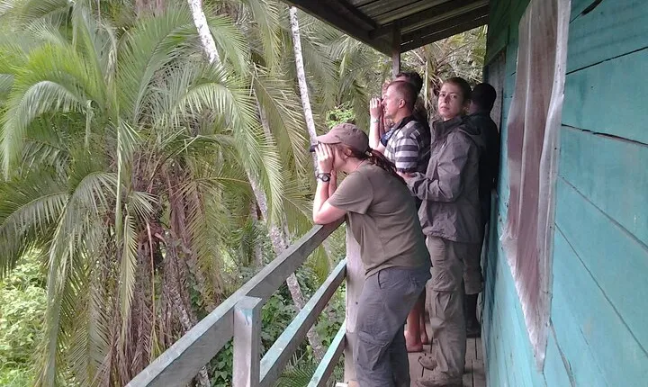 Safari Tour in Cameroon, Lobeke and Campo Maan National Park