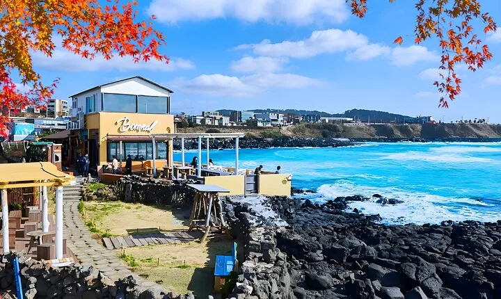 Jeju WEST&SOUTH One Day Tour with MT.halla & Aewol