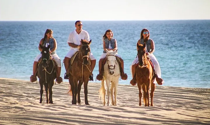 Horseback Riding Tour in Los Cabos
