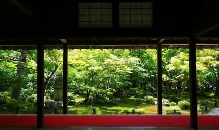 Kyoto Japanese Garden Lover's Private Tour with Government-Licensed Guide