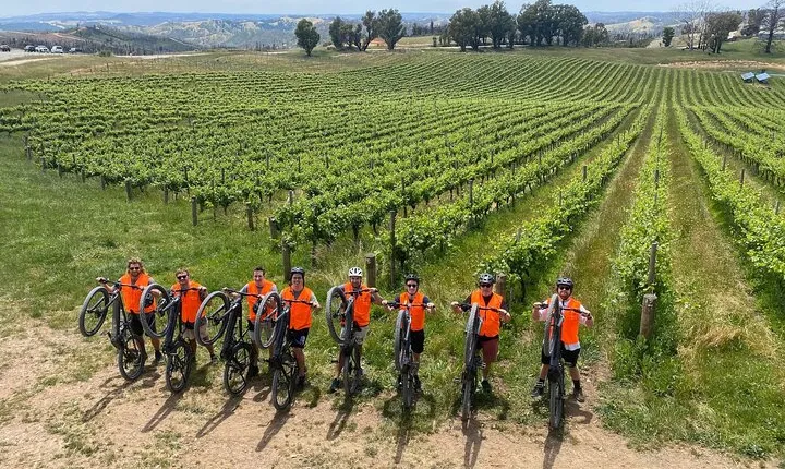 One Day e-Bike Hire - Tourism Partners