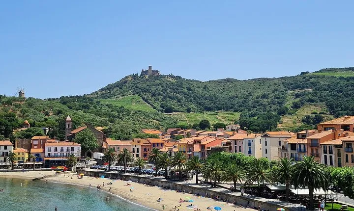 Private Walk In The Vineyards Of Collioure With Wine Tasting