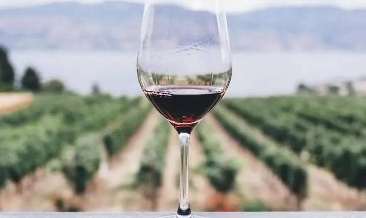 Kefalonia Wine Adventure in 3 Wineries With Tastings