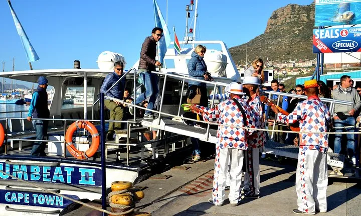 Cape of Good Hope & Penguin small group tour from Cape Town