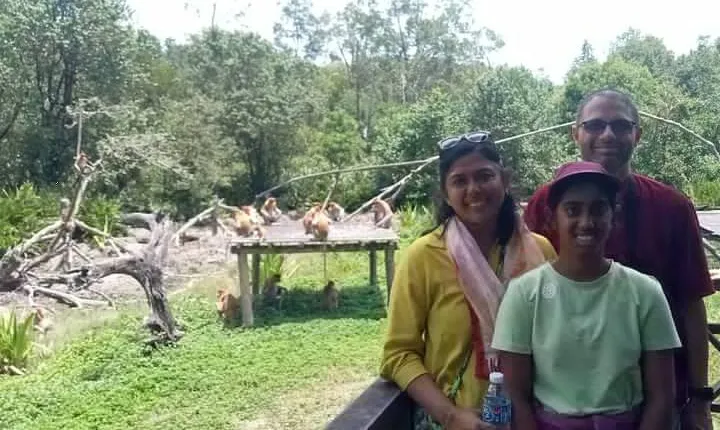 Full-Day Sepilok Orangutan and Proboscis Monkey from Sandakan or Kota Kinabalu