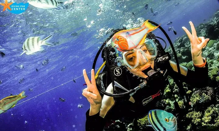 Intro and Professional Scuba Diving Cruise with Lunch in Hurghada